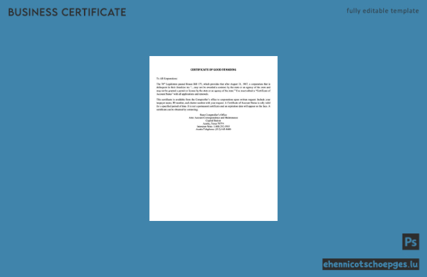USA Texas Unbedenklichkeitsbescheinigung (Word- und PDF-Beispiel)